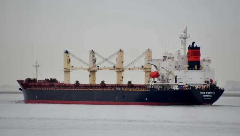 INCE PACIFIC Bulk Carrier IMO 9229001 photo 7