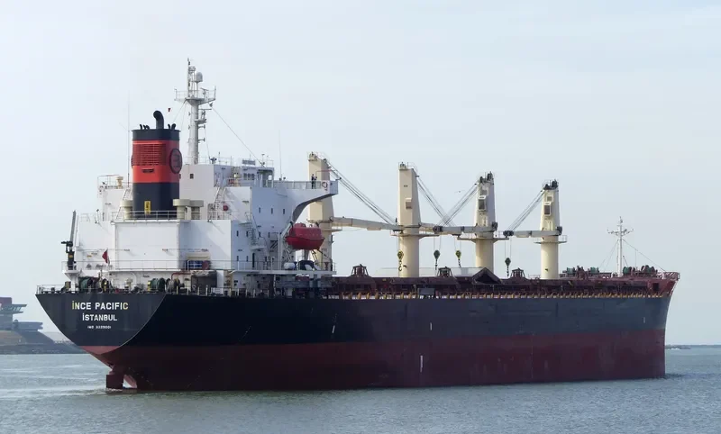 INCE PACIFIC Bulk Carrier IMO 9229001 photo 9