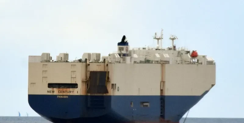 NEW CENTURY 1 General Cargo IMO 9229398 photo 8