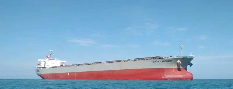 XIN DONG GUAN 12 Bulk Carrier IMO 9229415 photo 3