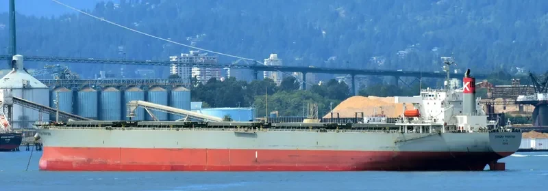 XIN DONG GUAN 12 Bulk Carrier IMO 9229415 photo 4