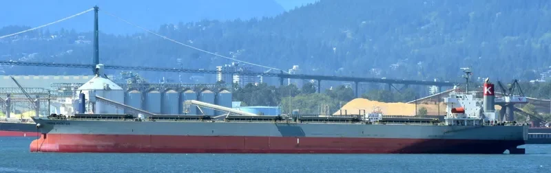 XIN DONG GUAN 12 Bulk Carrier IMO 9229415 photo 8