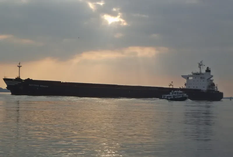 SCYTHIA GRAECA Bulk Carrier IMO 9229623 photo 6
