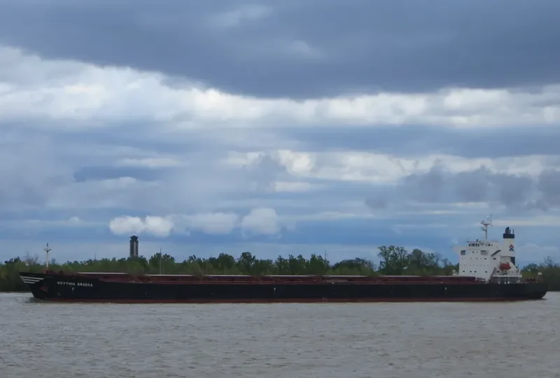 SCYTHIA GRAECA Bulk Carrier IMO 9229623 photo 7