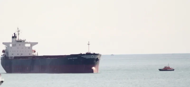 SCYTHIA GRAECA Bulk Carrier IMO 9229623 photo 9