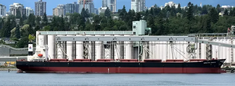 ADRIATICA GRAECA Bulk Carrier IMO 9229635 photo 3