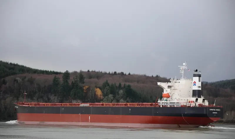 ADRIATICA GRAECA Bulk Carrier IMO 9229635 photo 4