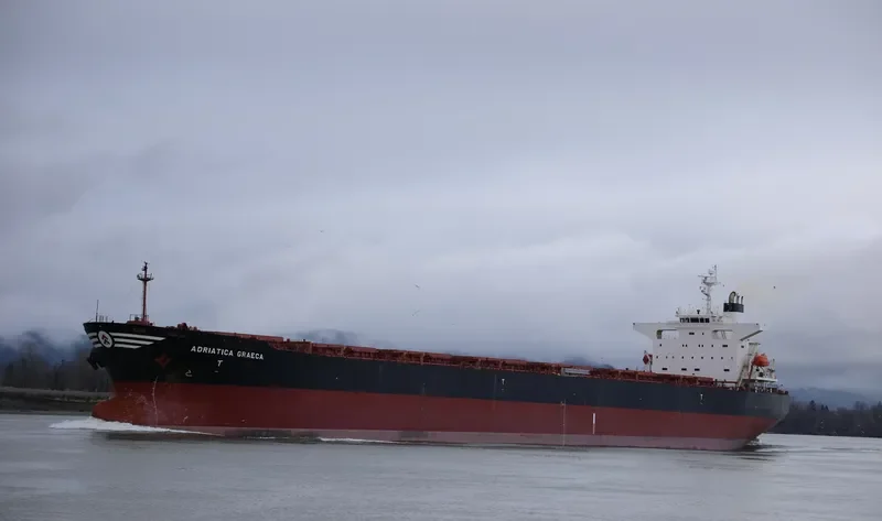 ADRIATICA GRAECA Bulk Carrier IMO 9229635 photo 5