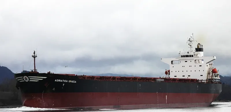 ADRIATICA GRAECA Bulk Carrier IMO 9229635 photo 8