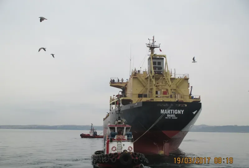 MARTIGNY Bulk Carrier IMO 9229867 photo 6