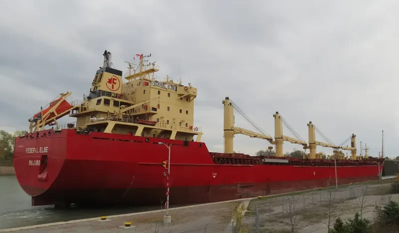 FEDERAL ELBE Bulk Carrier IMO 9230000