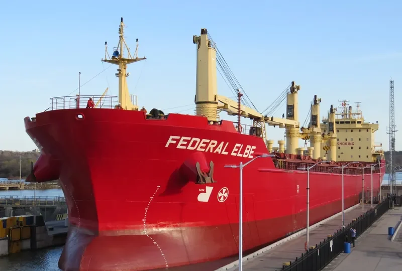 FEDERAL ELBE Bulk Carrier IMO 9230000 photo 2