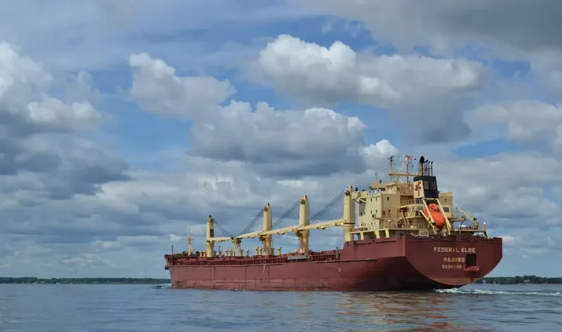 FEDERAL ELBE Bulk Carrier IMO 9230000 photo 7