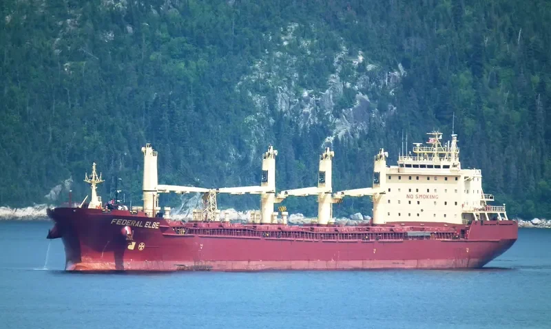 FEDERAL ELBE Bulk Carrier IMO 9230000 photo 10