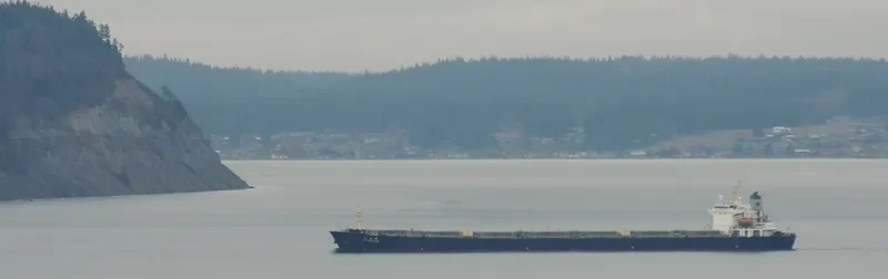 JIU LONG FENG Bulk Carrier IMO 9230359 photo 5