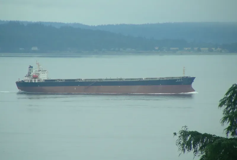 SHEN NONG FENG Bulk Carrier IMO 9230385 photo 3