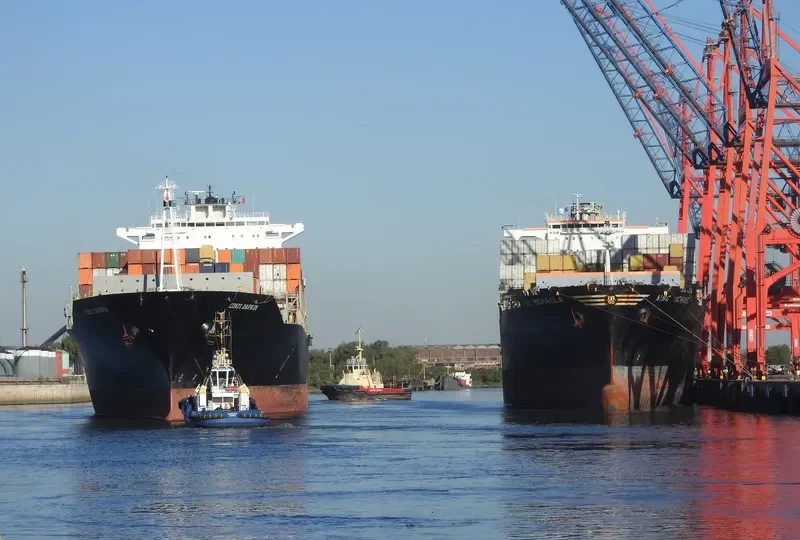 MSC MICHAELA Container Ship IMO 9230488