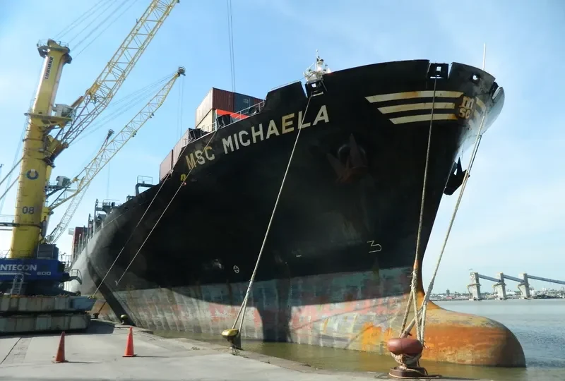 MSC MICHAELA Container Ship IMO 9230488 photo 3