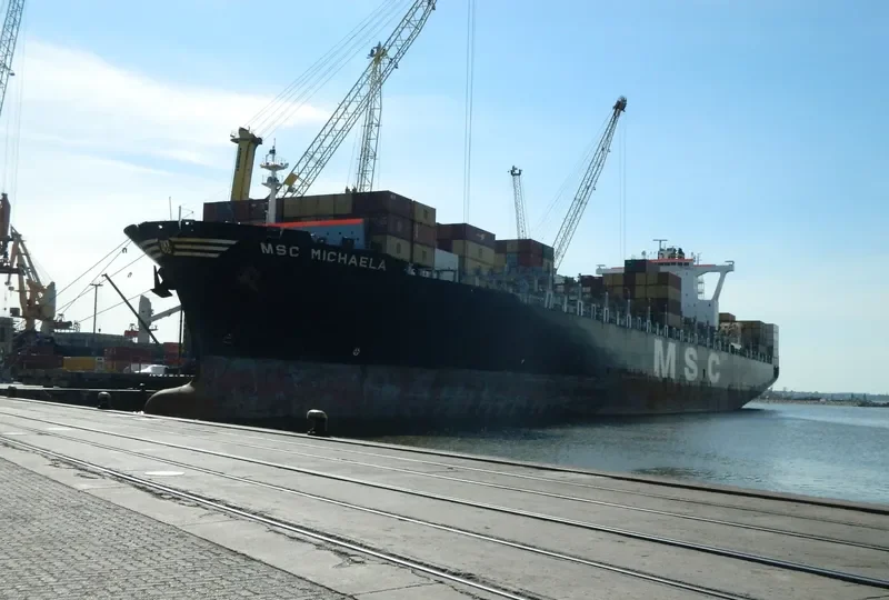MSC MICHAELA Container Ship IMO 9230488 photo 4