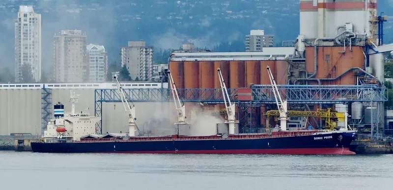 WORLDERA 2 Bulk Carrier IMO 9230751 photo 3