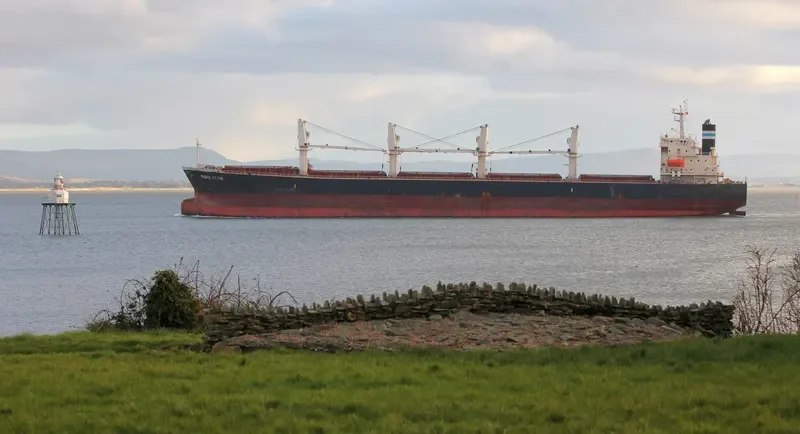 WORLDERA 2 Bulk Carrier IMO 9230751 photo 5