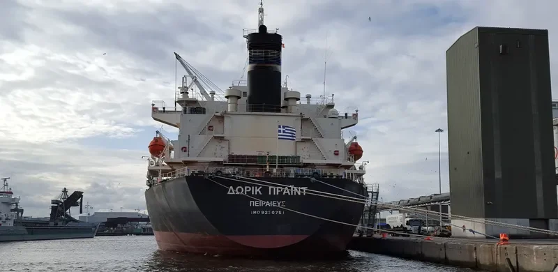 WORLDERA 2 Bulk Carrier IMO 9230751 photo 8