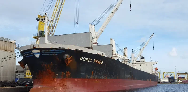 WORLDERA 2 Bulk Carrier IMO 9230751 photo 9