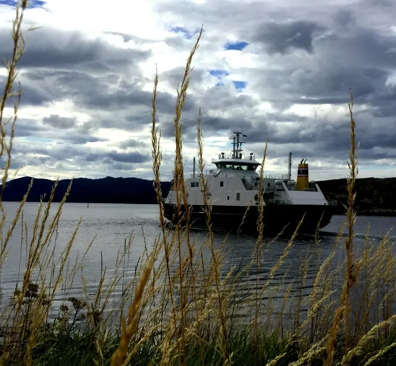 LEKA Ro-Ro IMO 9230866