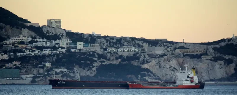 MAHA ROOS Bulk Carrier IMO 9231004 photo 2
