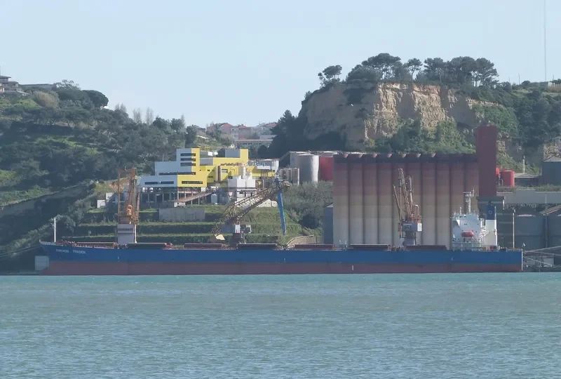 GOLDEN HARVEST Bulk Carrier IMO 9231274 photo 7