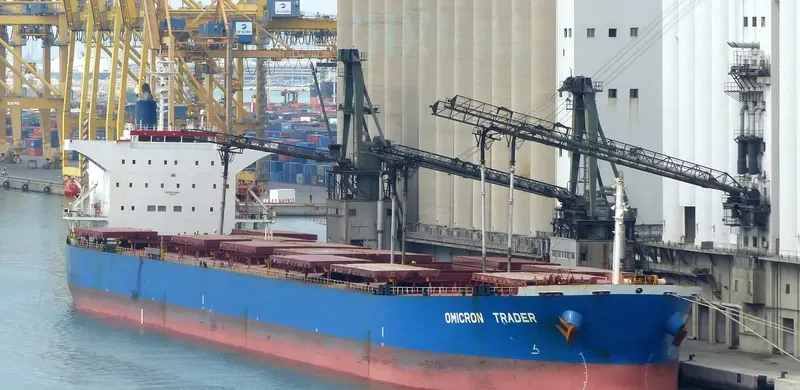 GOLDEN HARVEST Bulk Carrier IMO 9231274 photo 8