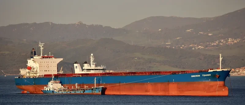 GOLDEN HARVEST Bulk Carrier IMO 9231274 photo 10