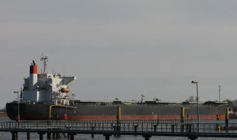 BONITA Bulk Carrier IMO 9231286 photo 15