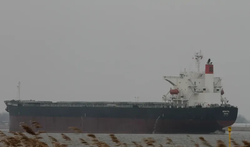 BONITA Bulk Carrier IMO 9231286 photo 38