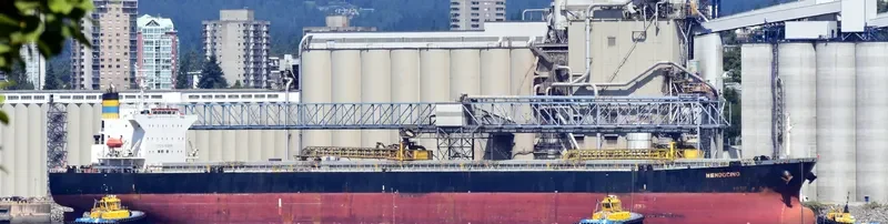 TIAN YI 88 Bulk Carrier IMO 9231298 photo 4
