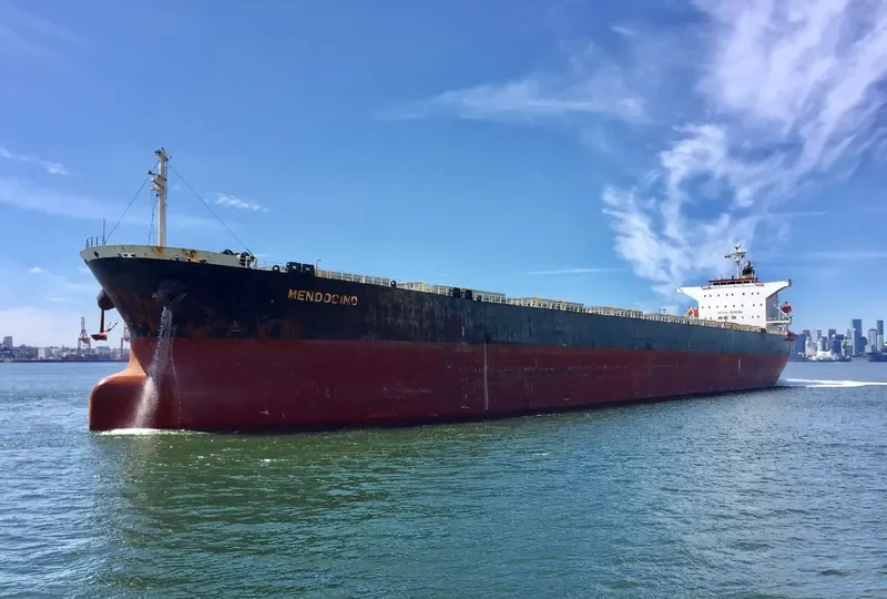 TIAN YI 88 Bulk Carrier IMO 9231298 photo 5