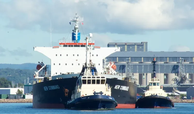 TIAN YI 16 Bulk Carrier IMO 9231315 photo 3