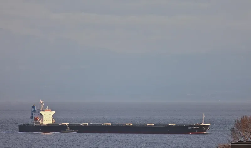 TIAN YI 16 Bulk Carrier IMO 9231315 photo 4