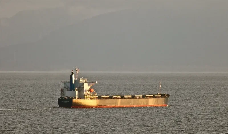 TIAN YI 16 Bulk Carrier IMO 9231315 photo 6