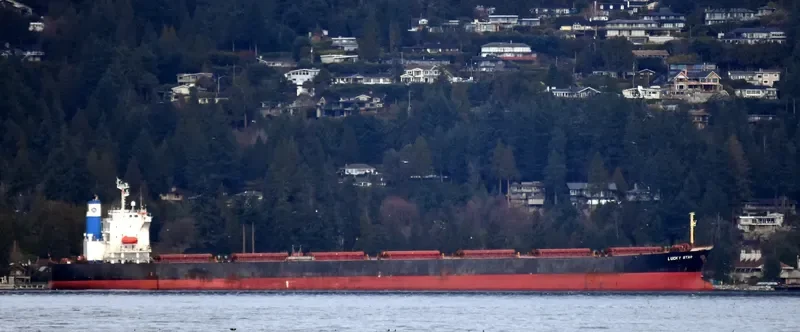 LUCKY STAR Bulk Carrier IMO 9231327 photo 6