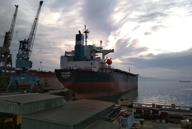 VITASPIRIT Bulk Carrier IMO 9231377