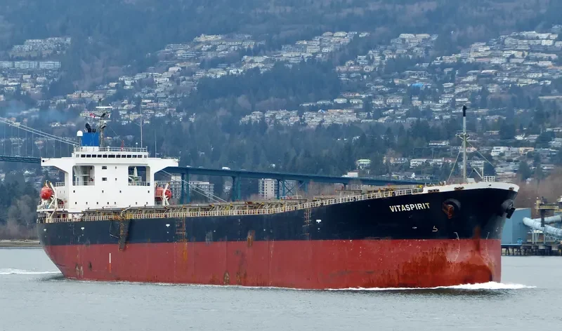 VITASPIRIT Bulk Carrier IMO 9231377 photo 6