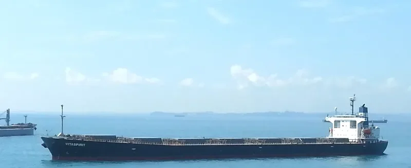 VITASPIRIT Bulk Carrier IMO 9231377 photo 8