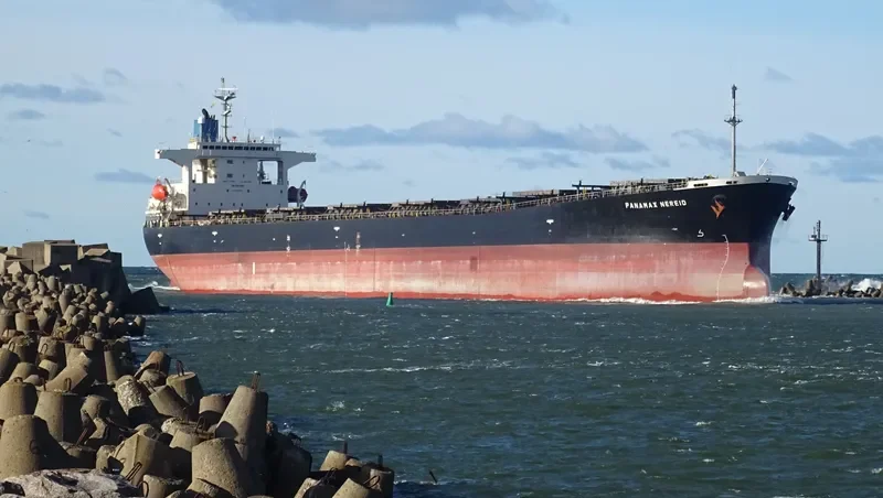 PANAMAX NEREID Bulk Carrier IMO 9231389 photo 4