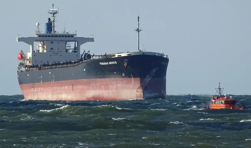 PANAMAX NEREID Bulk Carrier IMO 9231389 photo 5
