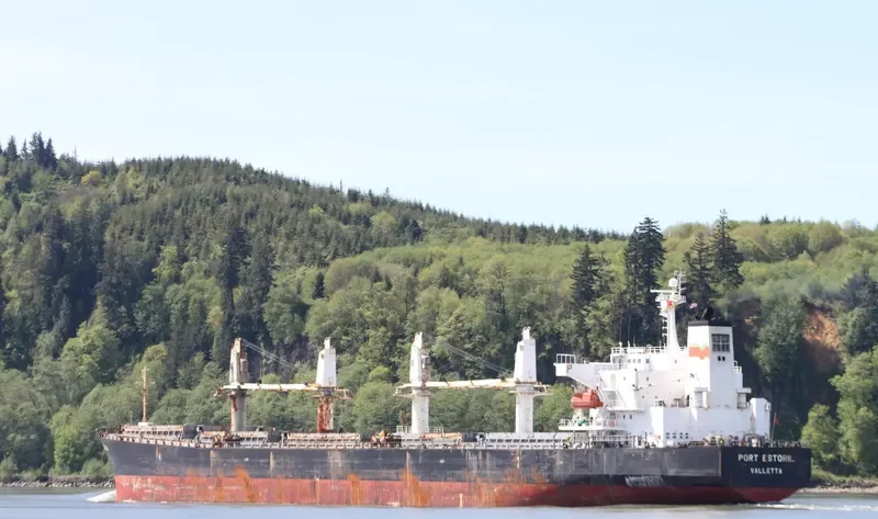 V GLORY Bulk Carrier IMO 9231561 photo 2