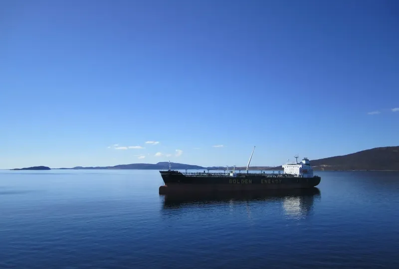 V GLORY Bulk Carrier IMO 9231561 photo 4