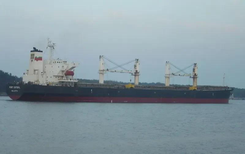 V GLORY Bulk Carrier IMO 9231561 photo 8