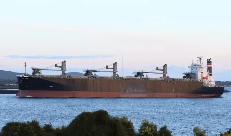 THANH THANH DAT 8999 Bulk Carrier IMO 9231585 photo 2