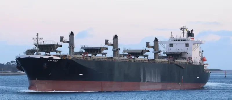 THANH THANH DAT 8999 Bulk Carrier IMO 9231585 photo 3